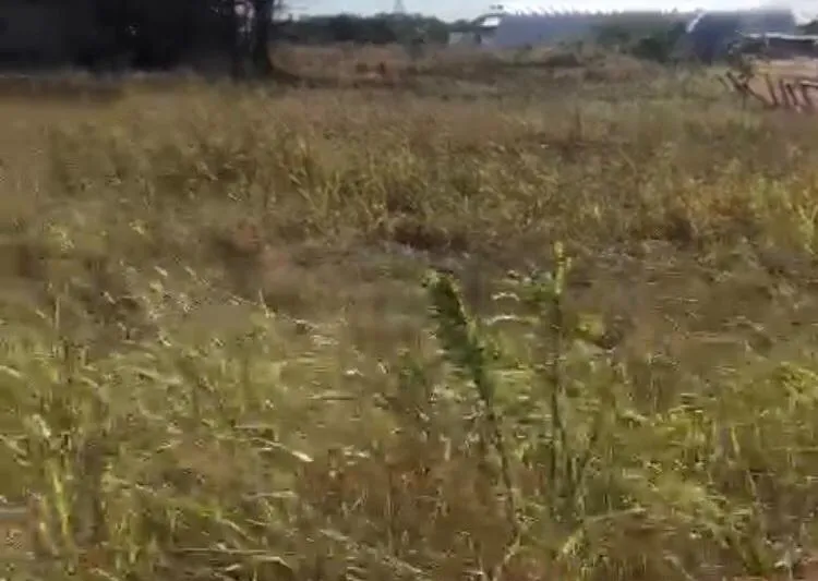 Venta de terreno en Penonome, vista 3