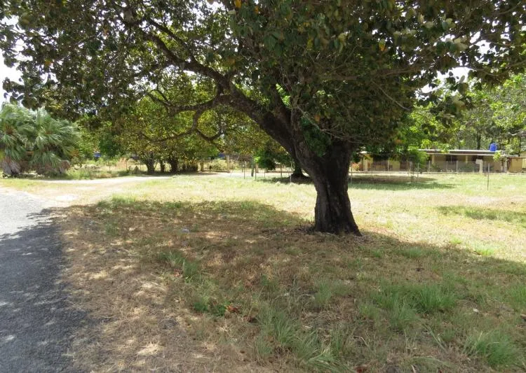 Venta de terrero en Chame, vista 3