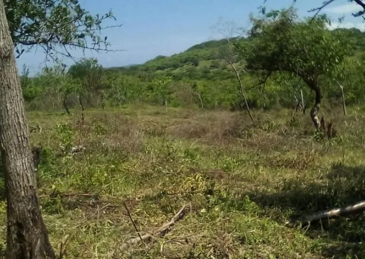Venta de terreno en lajas frente a Coronado, vista 3
