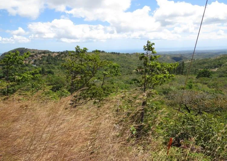 Venta de terrero en las Lajas de Chame, vista 2