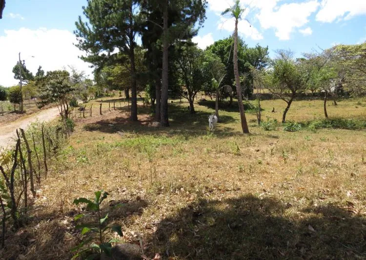 Venta de terrero en el Nancito de la laguna  (Chame), vista 3