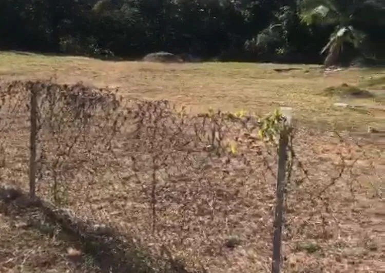 Venta de terreno en Penonome, vista 3
