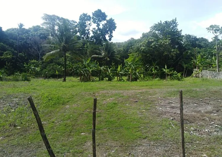 Venta de terreno en Pacora, San Martin, vista 3
