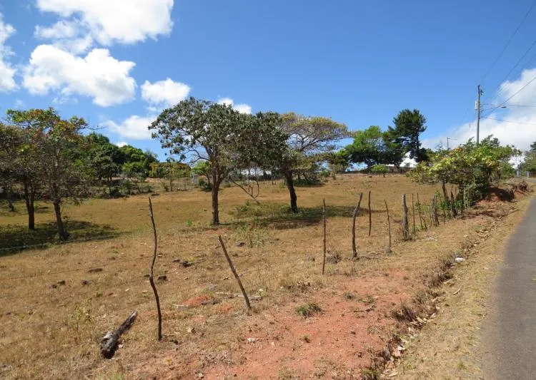 Venta de terrero en el Nancito de la laguna  (Chame), vista 2