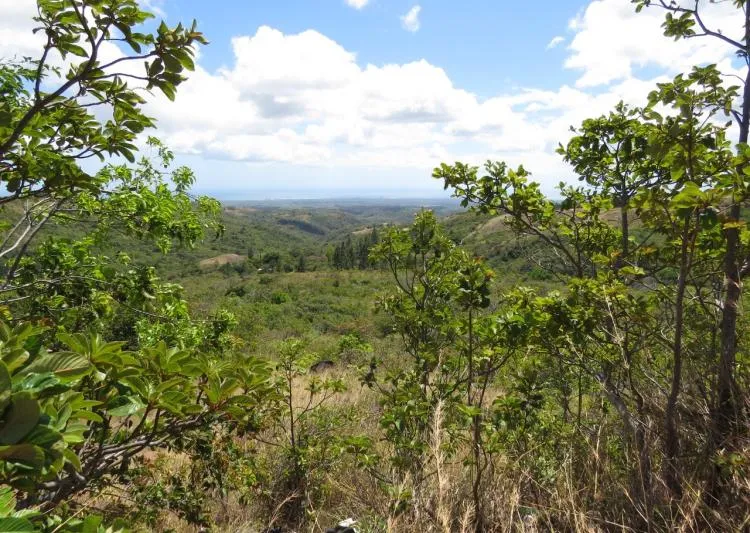 Venta de terrero en las Lajas de Chame, vista 3