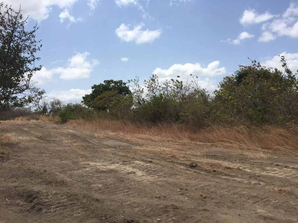 Venta de terreno en lajas frente a Coronado