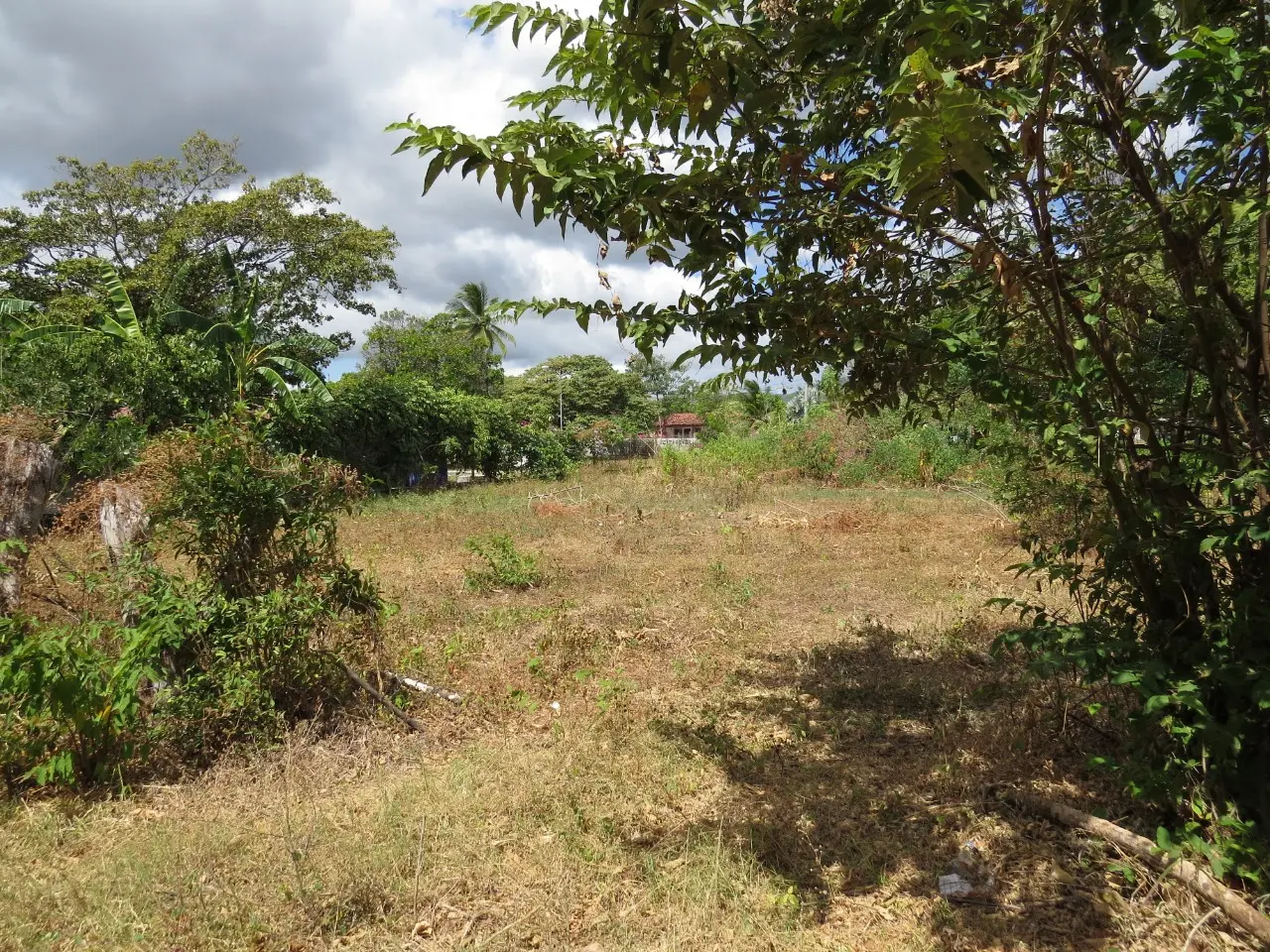 Venta de terreo en la Paz de Chame